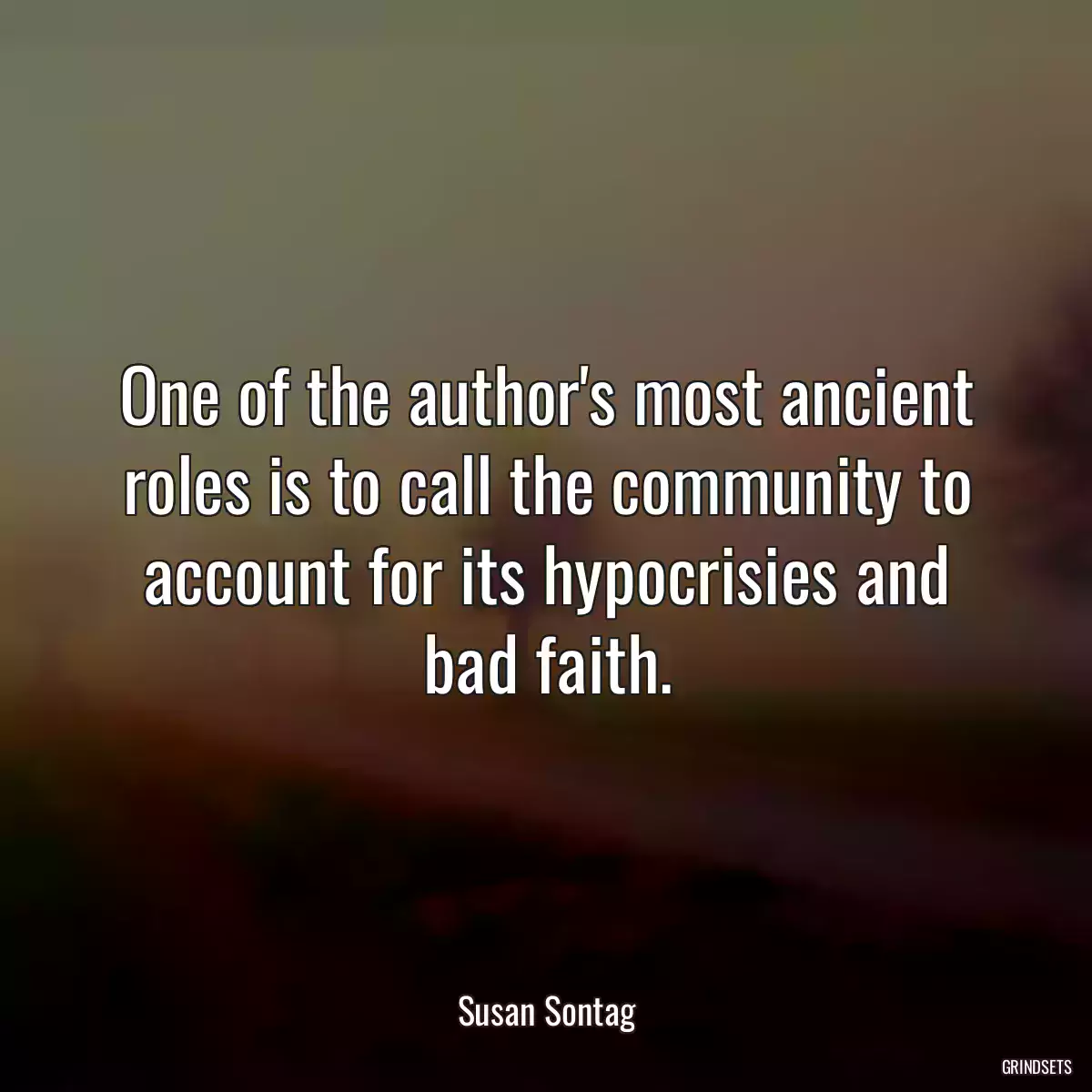 One of the author\'s most ancient roles is to call the community to account for its hypocrisies and bad faith.