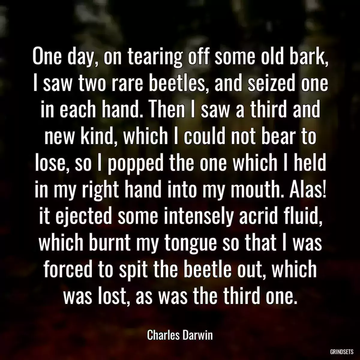 One day, on tearing off some old bark, I saw two rare beetles, and seized one in each hand. Then I saw a third and new kind, which I could not bear to lose, so I popped the one which I held in my right hand into my mouth. Alas! it ejected some intensely acrid fluid, which burnt my tongue so that I was forced to spit the beetle out, which was lost, as was the third one.