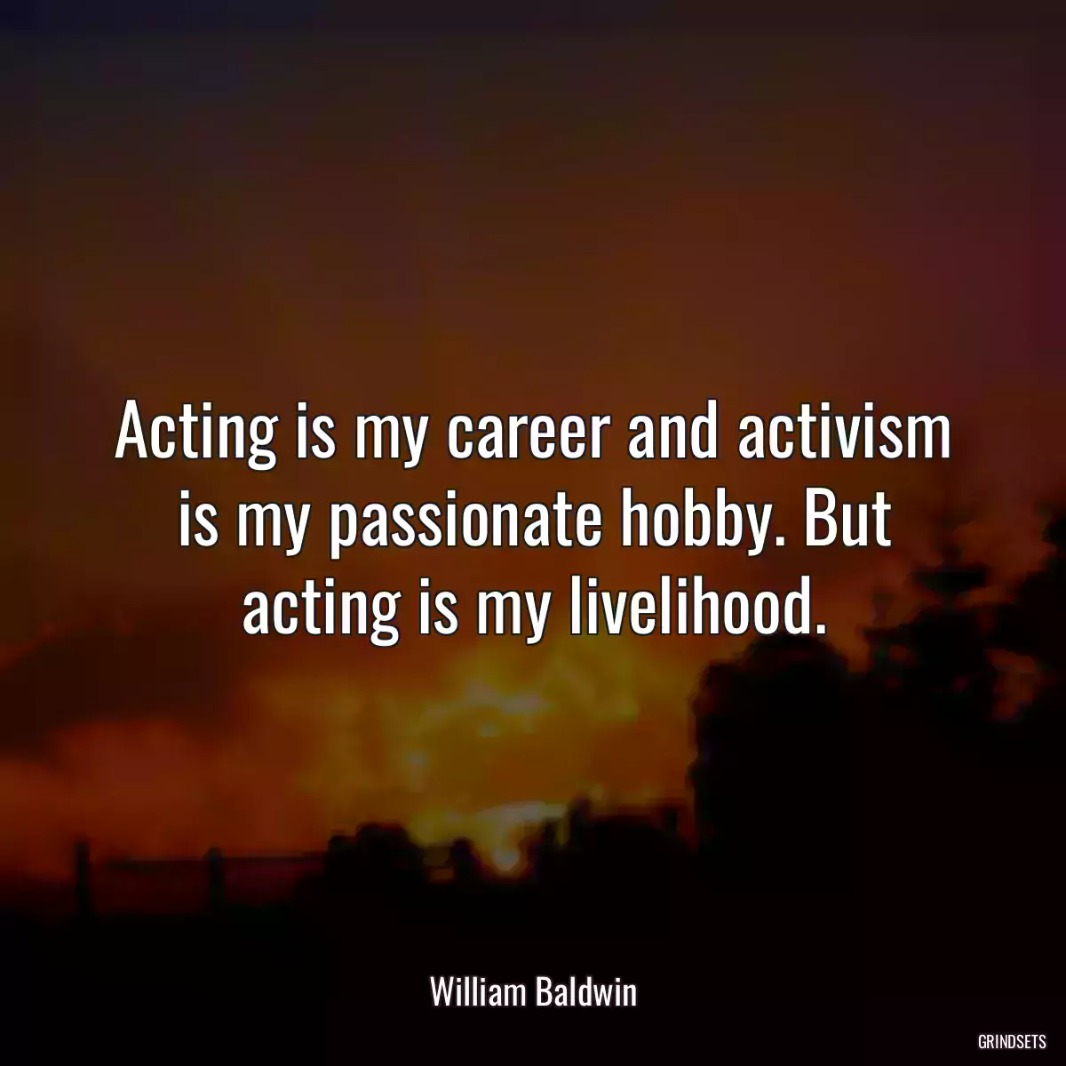 Acting is my career and activism is my passionate hobby. But acting is my livelihood.