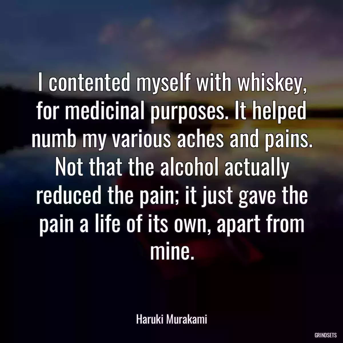 I contented myself with whiskey, for medicinal purposes. It helped numb my various aches and pains. Not that the alcohol actually reduced the pain; it just gave the pain a life of its own, apart from mine.