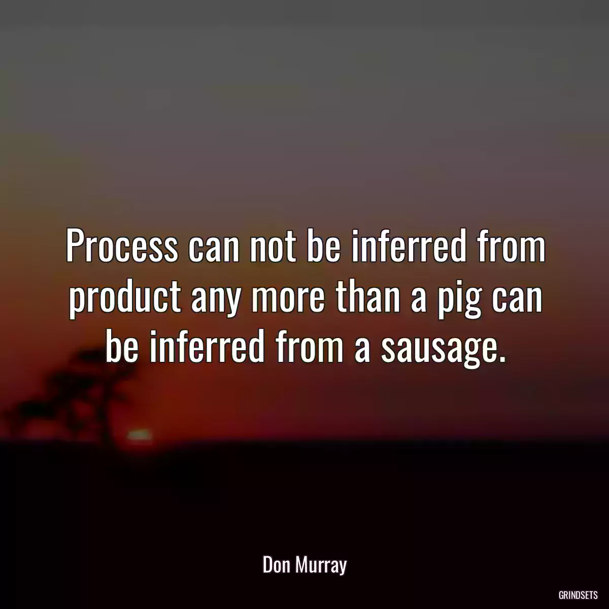 Process can not be inferred from product any more than a pig can be inferred from a sausage.