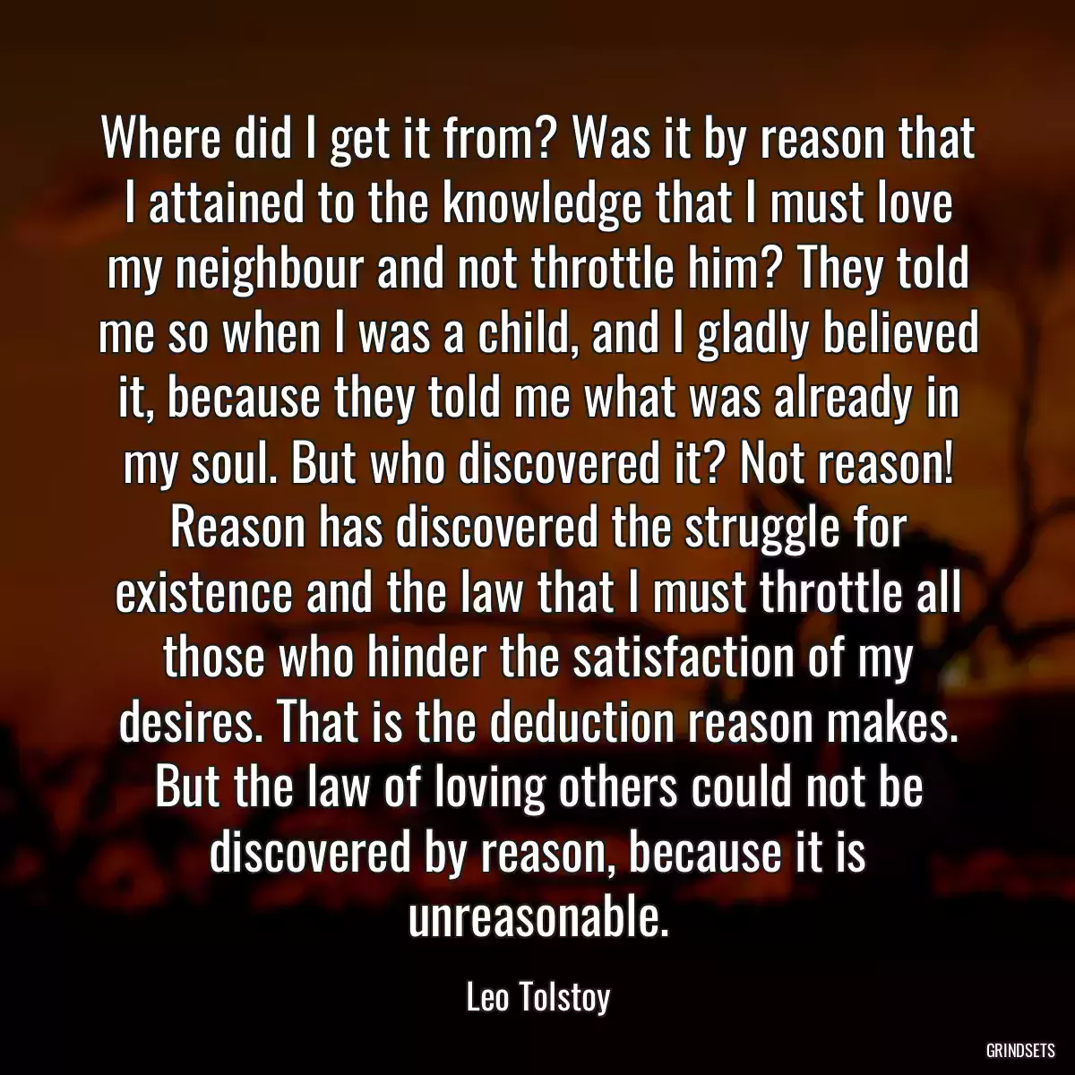 Where did I get it from? Was it by reason that I attained to the knowledge that I must love my neighbour and not throttle him? They told me so when I was a child, and I gladly believed it, because they told me what was already in my soul. But who discovered it? Not reason! Reason has discovered the struggle for existence and the law that I must throttle all those who hinder the satisfaction of my desires. That is the deduction reason makes. But the law of loving others could not be discovered by reason, because it is unreasonable.