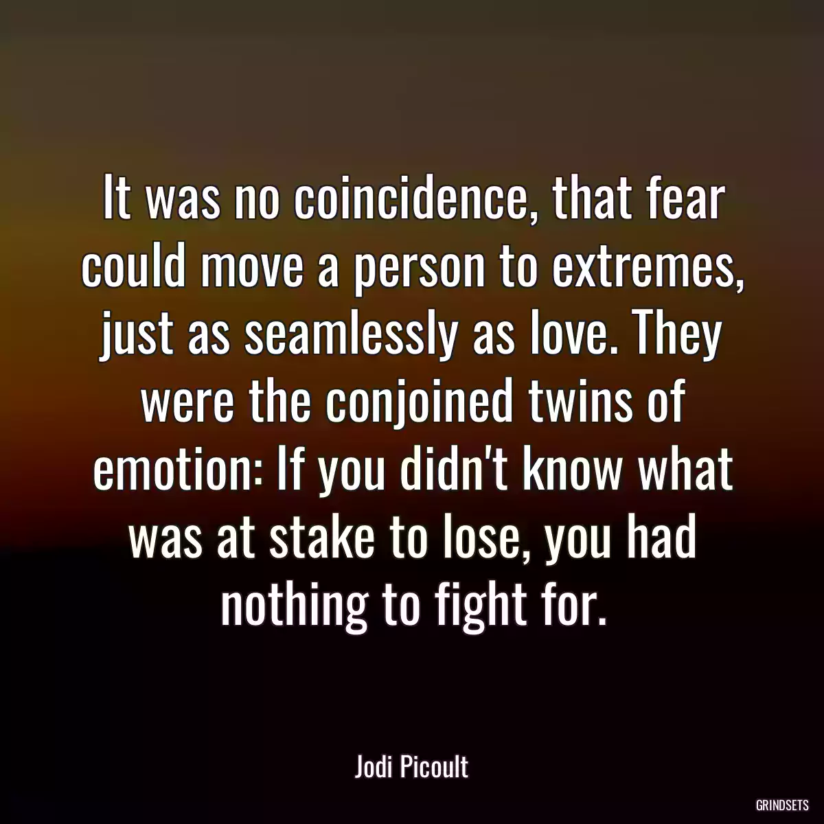 It was no coincidence, that fear could move a person to extremes, just as seamlessly as love. They were the conjoined twins of emotion: If you didn\'t know what was at stake to lose, you had nothing to fight for.