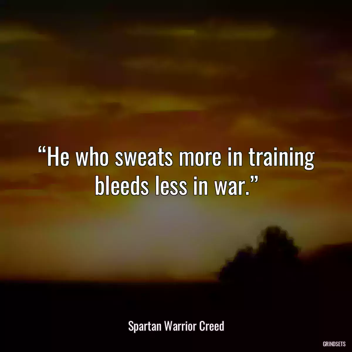 “He who sweats more in training bleeds less in war.”