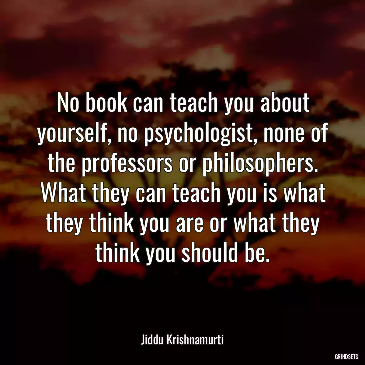 No book can teach you about yourself, no psychologist, none of the professors or philosophers. What they can teach you is what they think you are or what they think you should be.