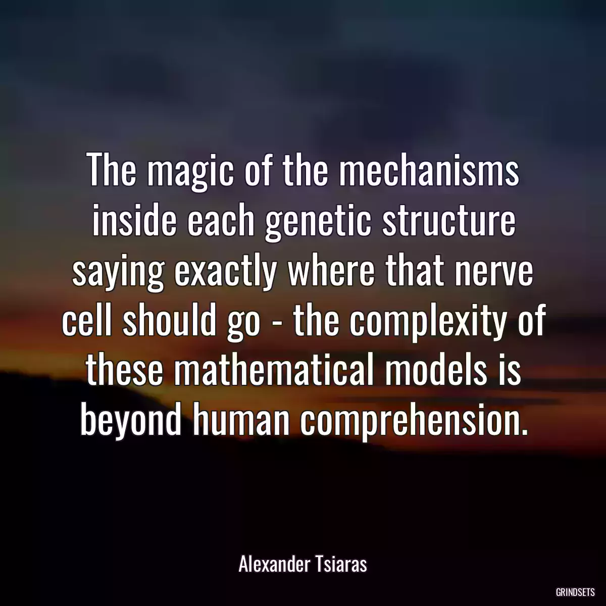 The magic of the mechanisms inside each genetic structure saying exactly where that nerve cell should go - the complexity of these mathematical models is beyond human comprehension.