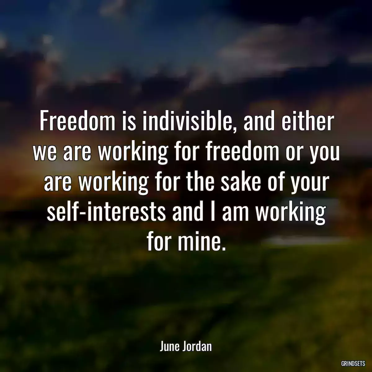 Freedom is indivisible, and either we are working for freedom or you are working for the sake of your self-interests and I am working for mine.