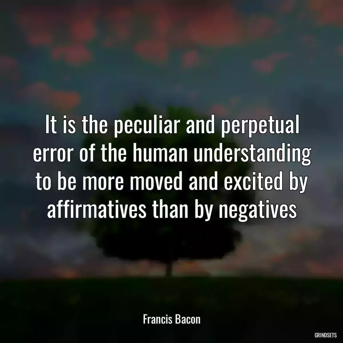 It is the peculiar and perpetual error of the human understanding to be more moved and excited by affirmatives than by negatives