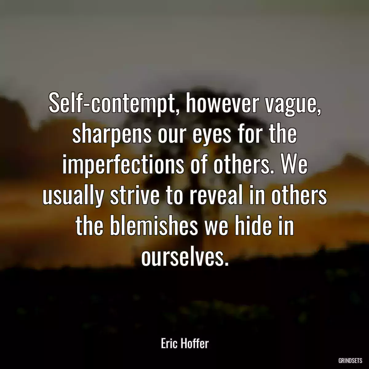 Self-contempt, however vague, sharpens our eyes for the imperfections of others. We usually strive to reveal in others the blemishes we hide in ourselves.