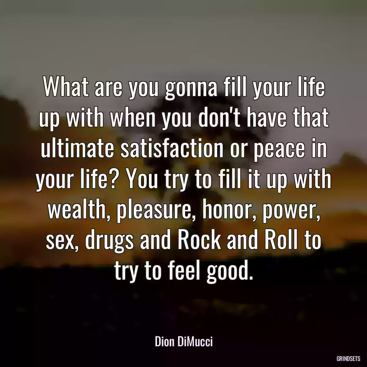 What are you gonna fill your life up with when you don\'t have that ultimate satisfaction or peace in your life? You try to fill it up with wealth, pleasure, honor, power, sex, drugs and Rock and Roll to try to feel good.