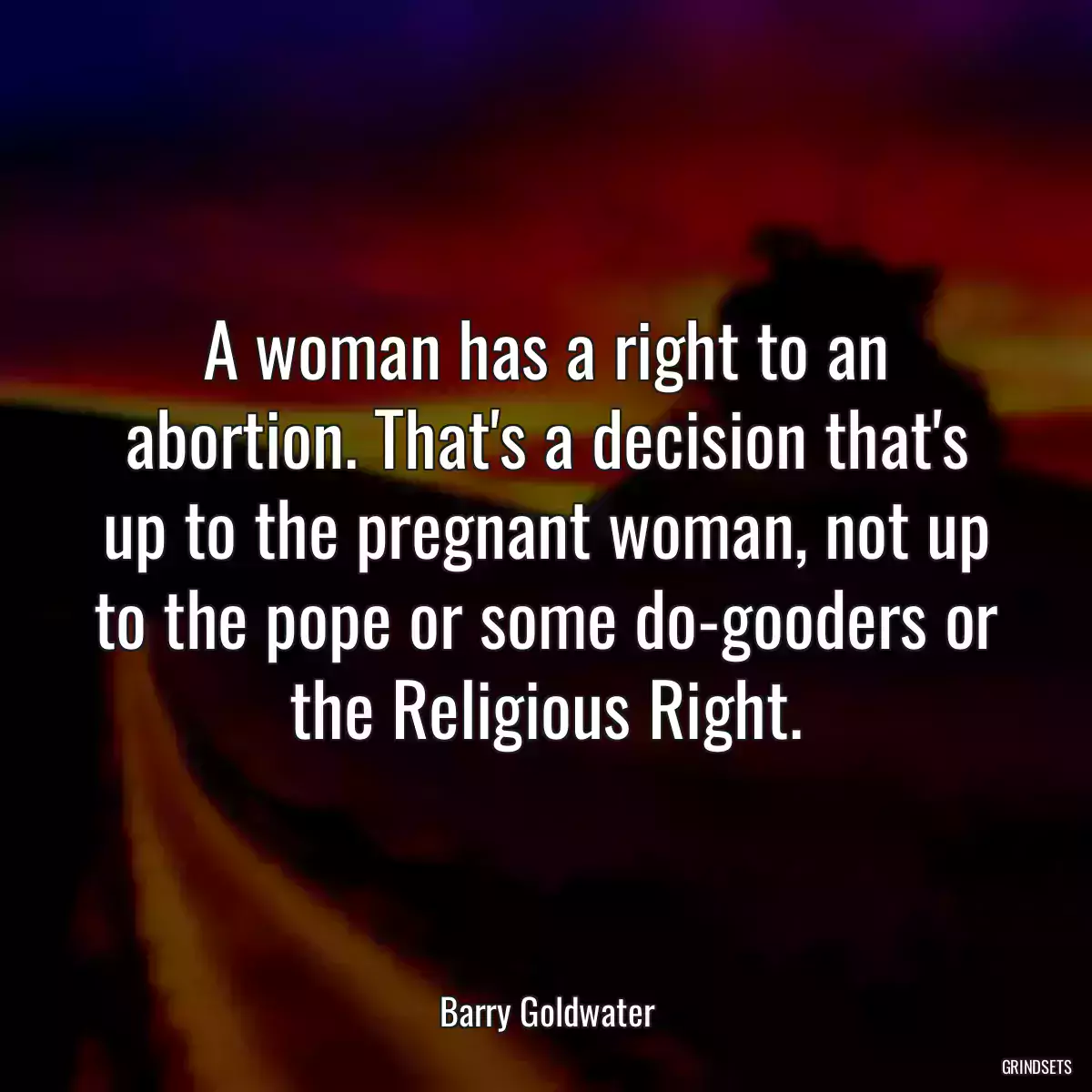 A woman has a right to an abortion. That\'s a decision that\'s up to the pregnant woman, not up to the pope or some do-gooders or the Religious Right.