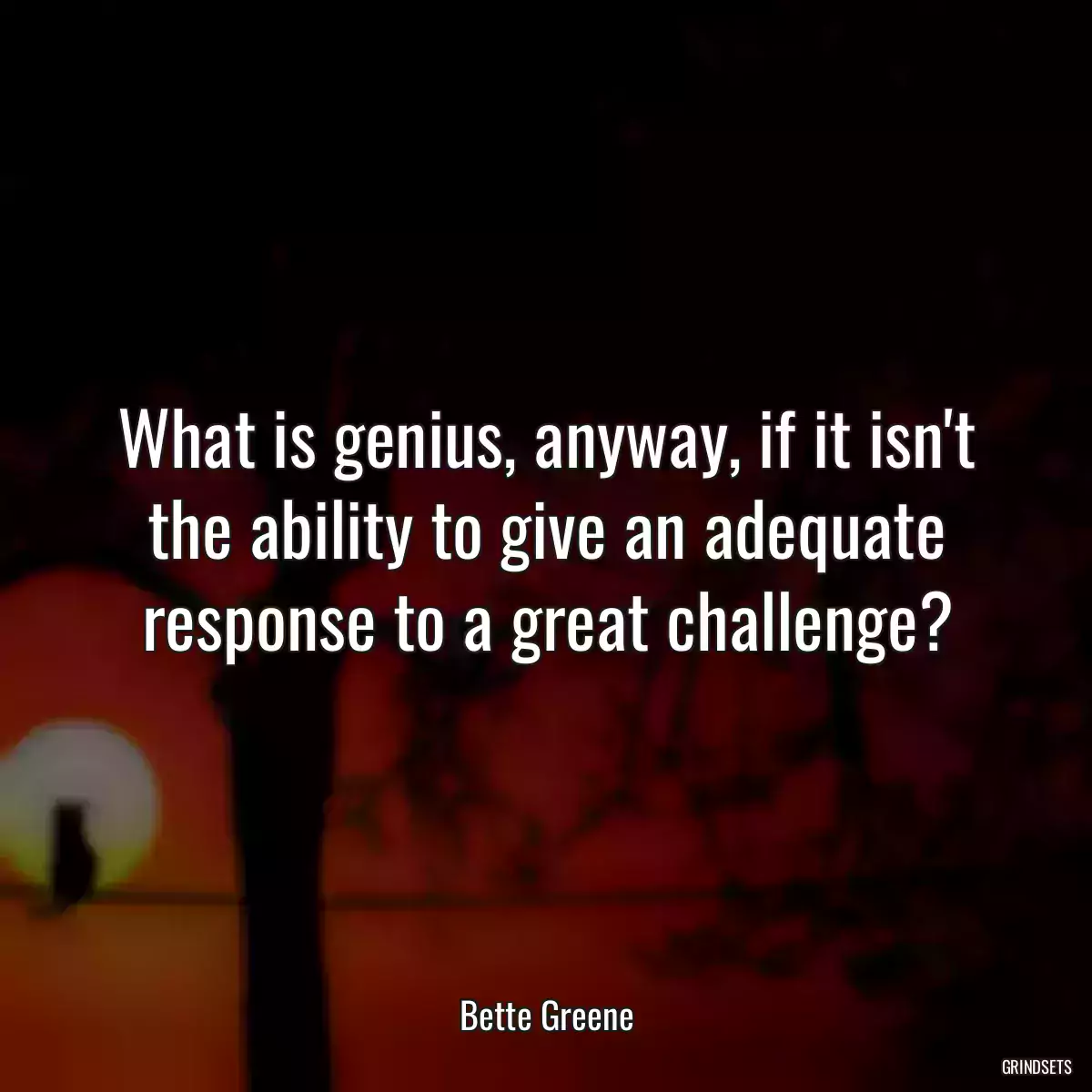 What is genius, anyway, if it isn\'t the ability to give an adequate response to a great challenge?