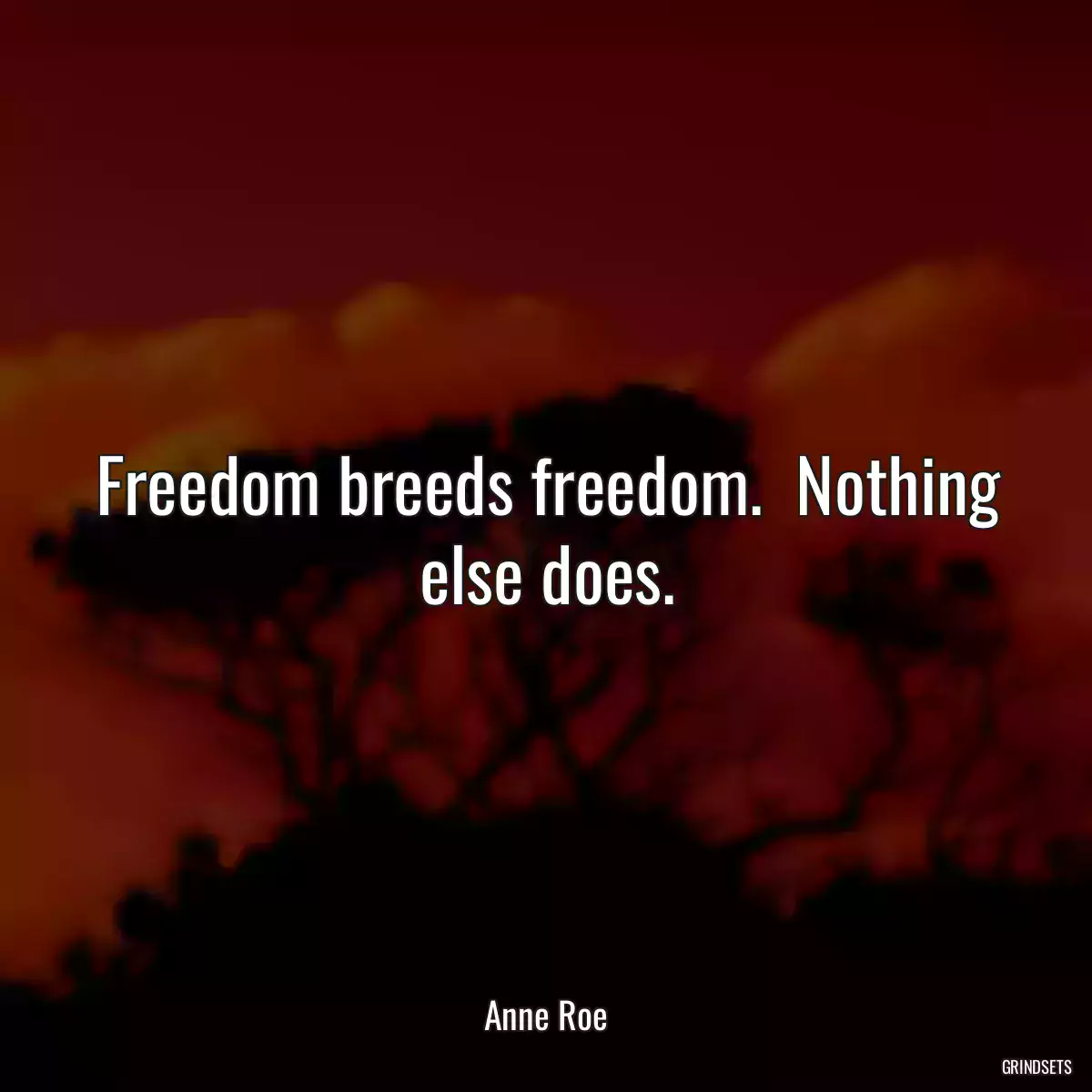 Freedom breeds freedom.  Nothing else does.