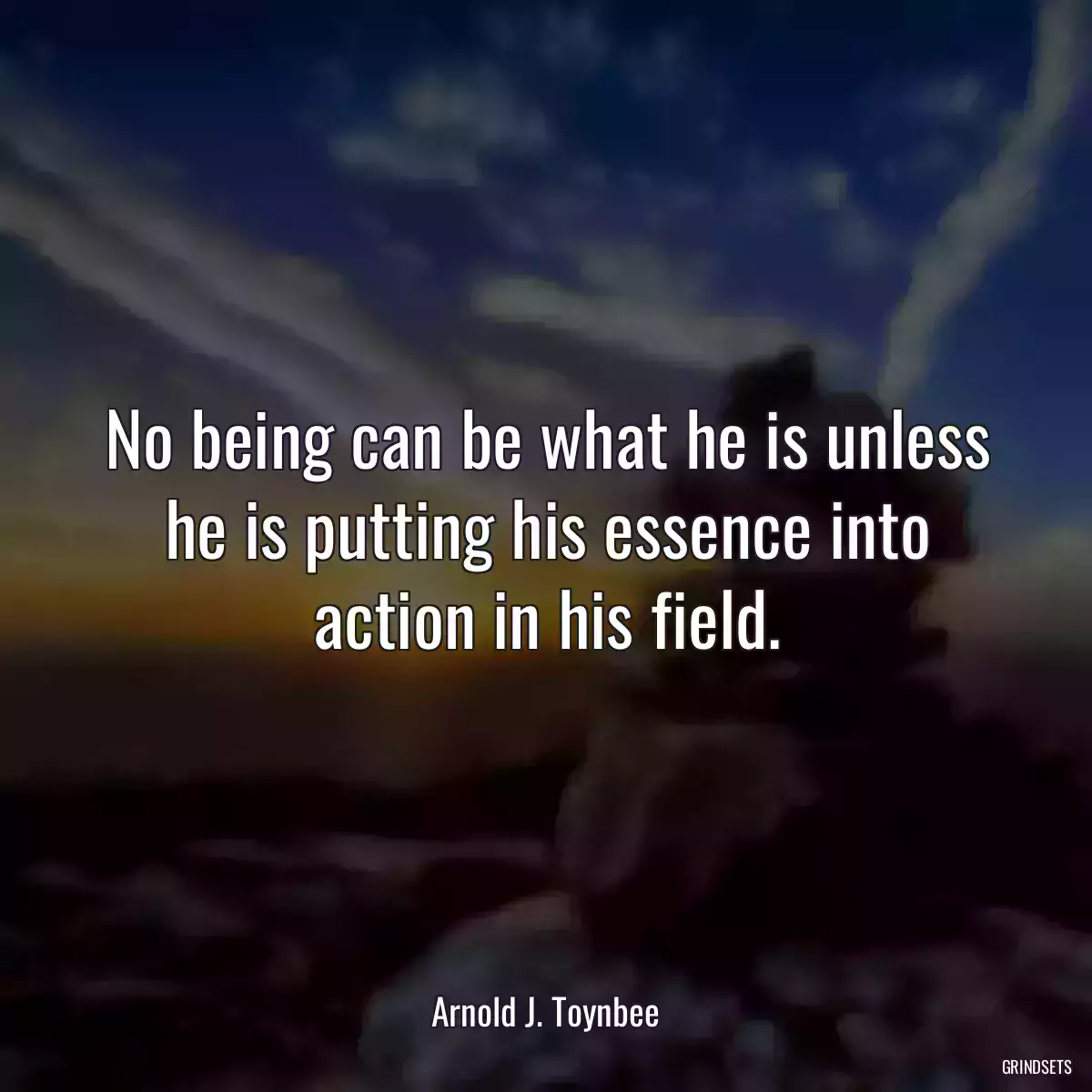 No being can be what he is unless he is putting his essence into action in his field.