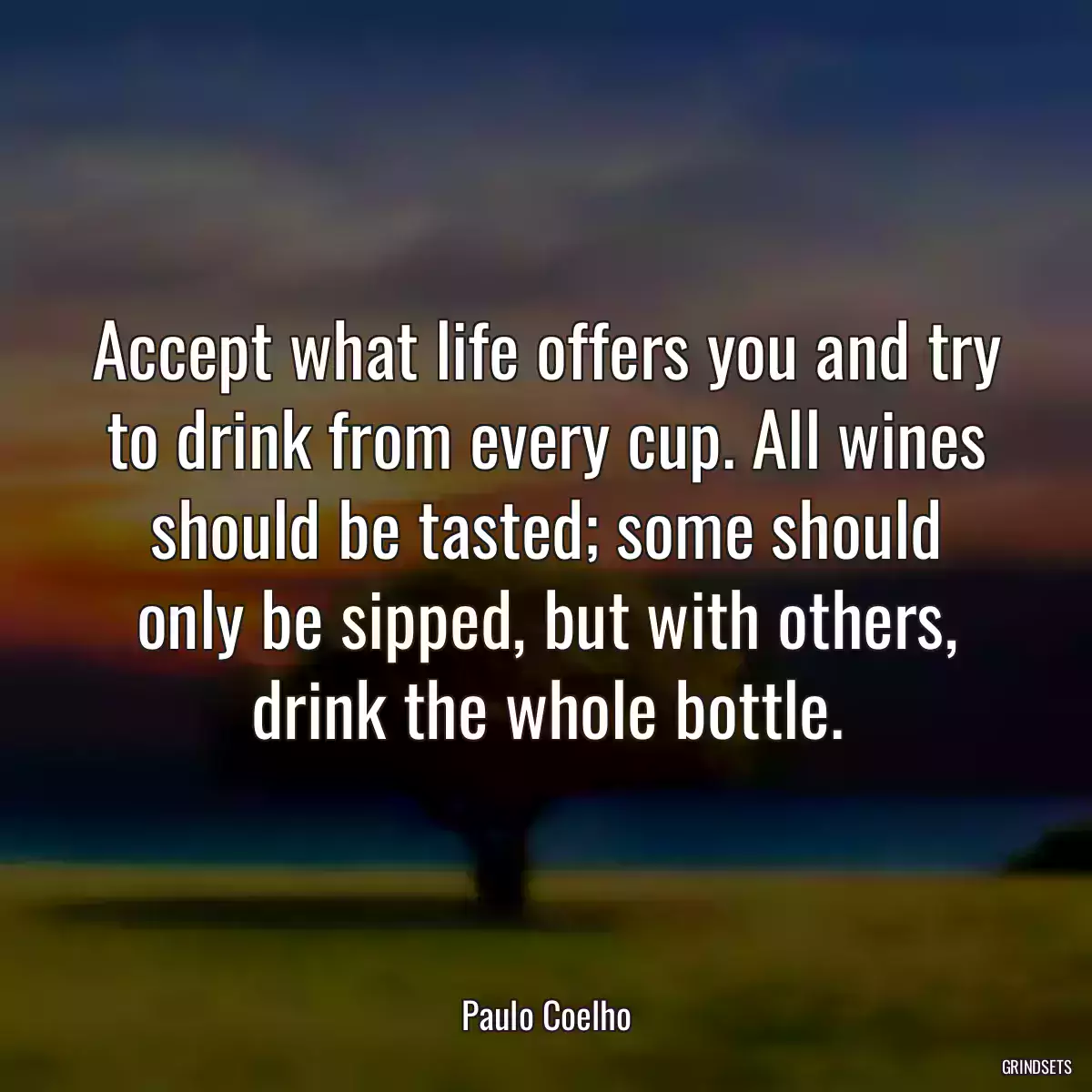 Accept what life offers you and try to drink from every cup. All wines should be tasted; some should only be sipped, but with others, drink the whole bottle.