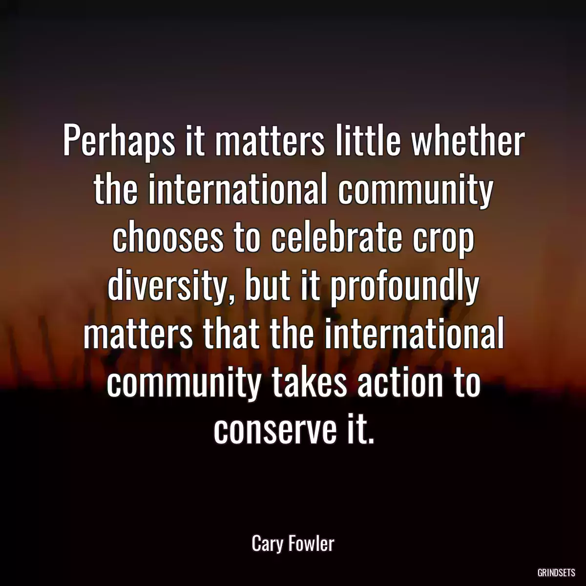 Perhaps it matters little whether the international community chooses to celebrate crop diversity, but it profoundly matters that the international community takes action to conserve it.