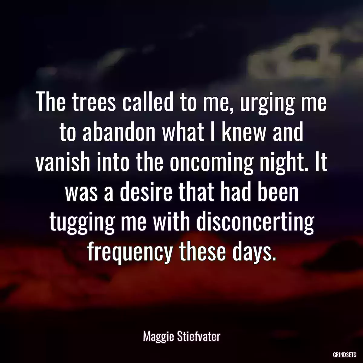 The trees called to me, urging me to abandon what I knew and vanish into the oncoming night. It was a desire that had been tugging me with disconcerting frequency these days.