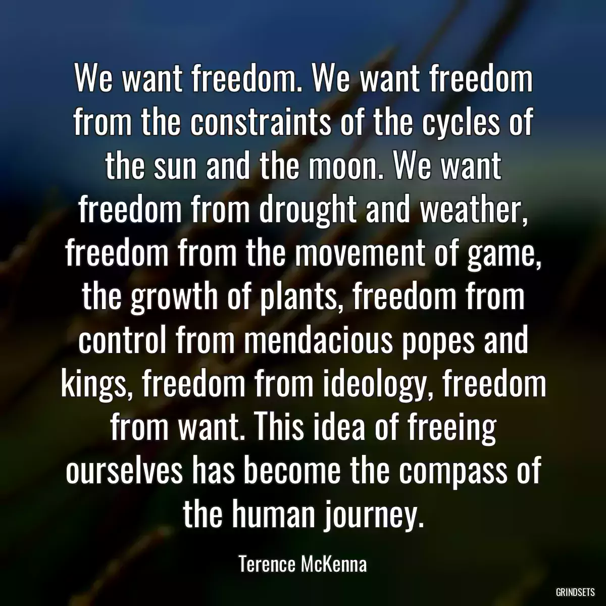 We want freedom. We want freedom from the constraints of the cycles of the sun and the moon. We want freedom from drought and weather, freedom from the movement of game, the growth of plants, freedom from control from mendacious popes and kings, freedom from ideology, freedom from want. This idea of freeing ourselves has become the compass of the human journey.