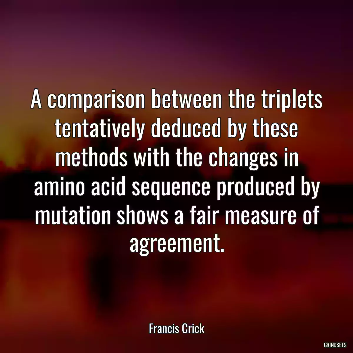 A comparison between the triplets tentatively deduced by these methods with the changes in amino acid sequence produced by mutation shows a fair measure of agreement.