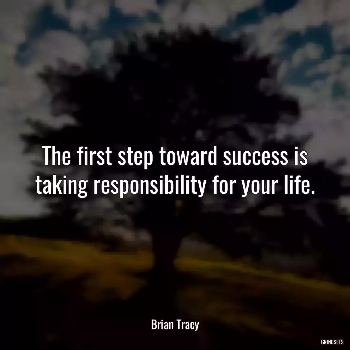 The first step toward success is taking responsibility for your life.