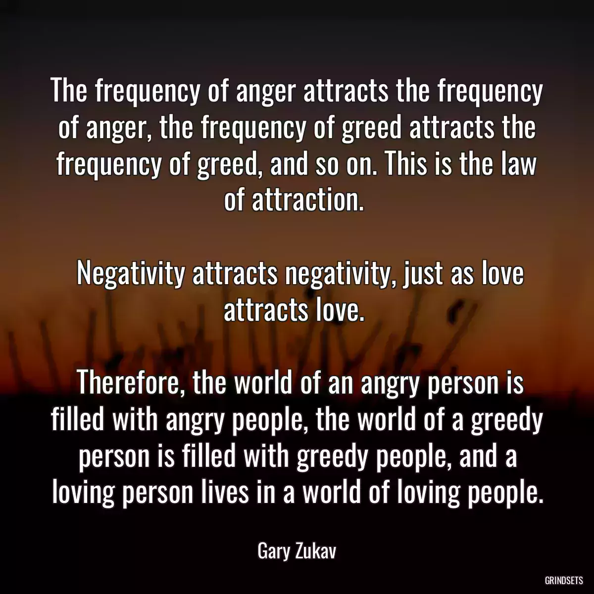 The frequency of anger attracts the frequency of anger, the frequency of greed attracts the frequency of greed, and so on. This is the law of attraction. 
 
 Negativity attracts negativity, just as love attracts love. 
 
 Therefore, the world of an angry person is filled with angry people, the world of a greedy person is filled with greedy people, and a loving person lives in a world of loving people.