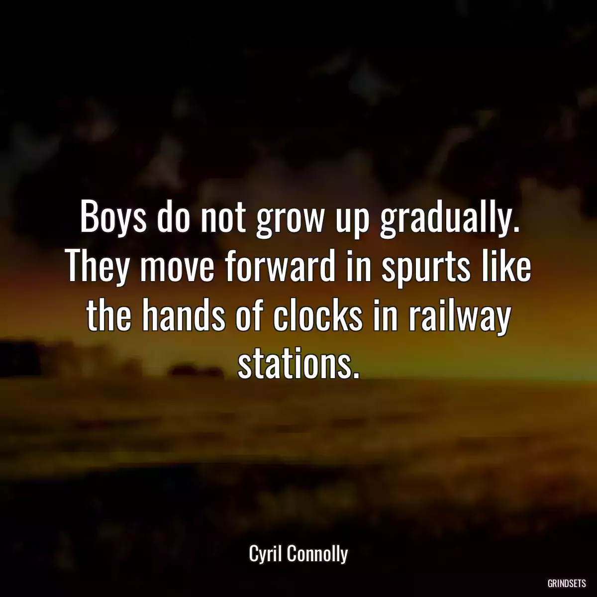 Boys do not grow up gradually. They move forward in spurts like the hands of clocks in railway stations.