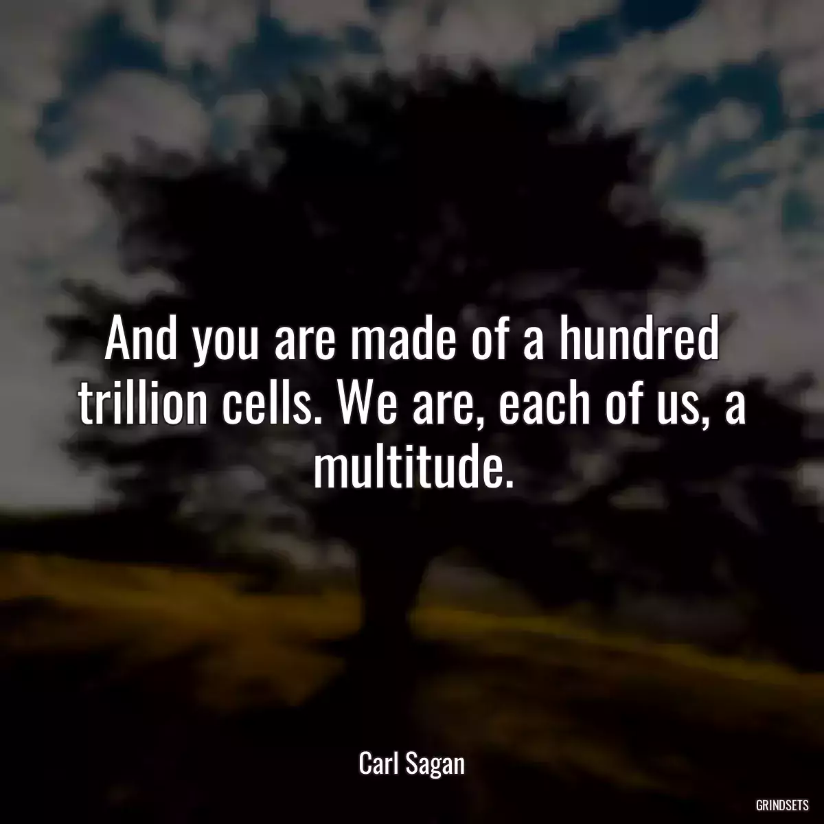 And you are made of a hundred trillion cells. We are, each of us, a multitude.