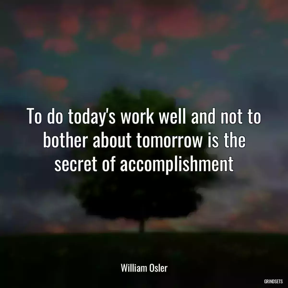 To do today\'s work well and not to bother about tomorrow is the secret of accomplishment