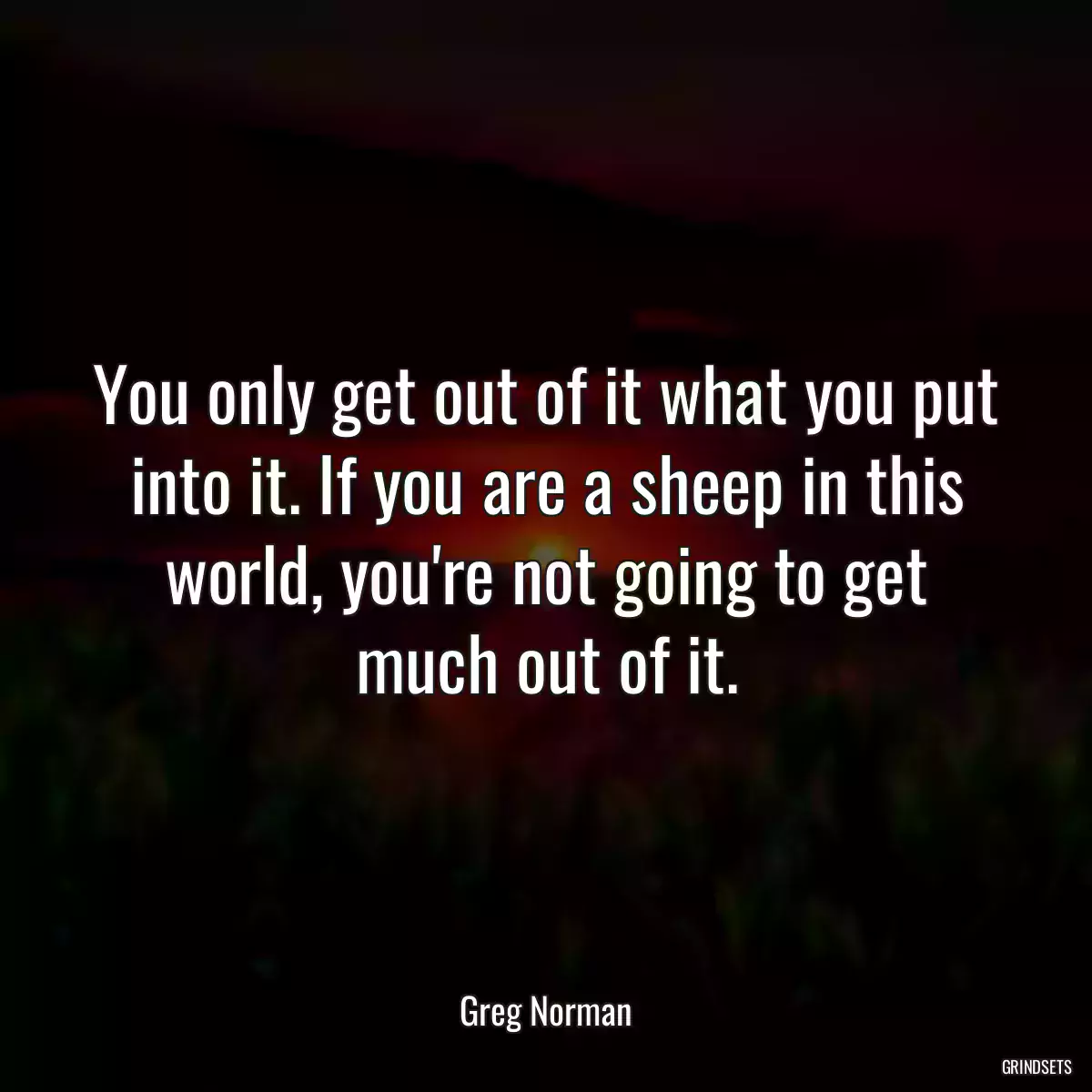 You only get out of it what you put into it. If you are a sheep in this world, you\'re not going to get much out of it.