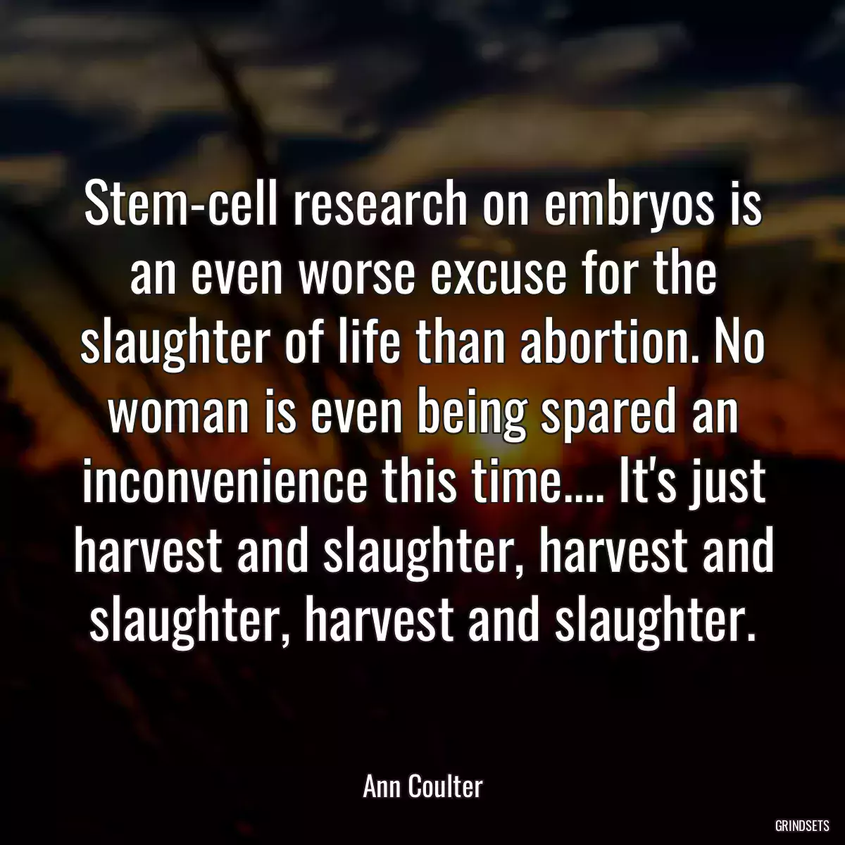 Stem-cell research on embryos is an even worse excuse for the slaughter of life than abortion. No woman is even being spared an inconvenience this time.... It\'s just harvest and slaughter, harvest and slaughter, harvest and slaughter.