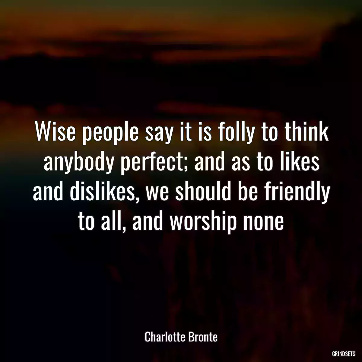 Wise people say it is folly to think anybody perfect; and as to likes and dislikes, we should be friendly to all, and worship none