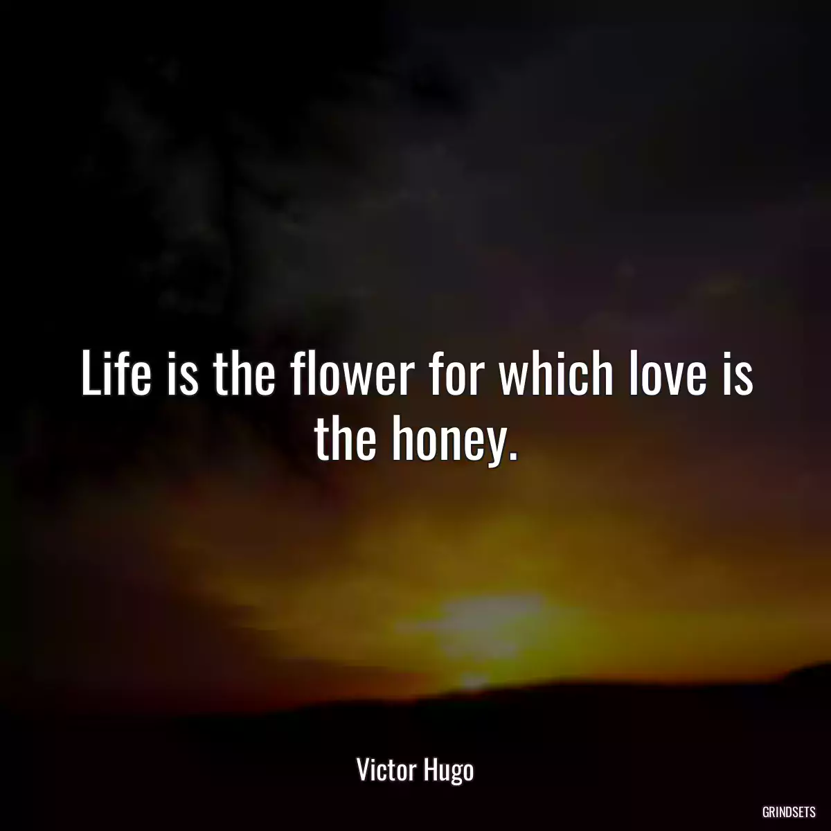 Life is the flower for which love is the honey.