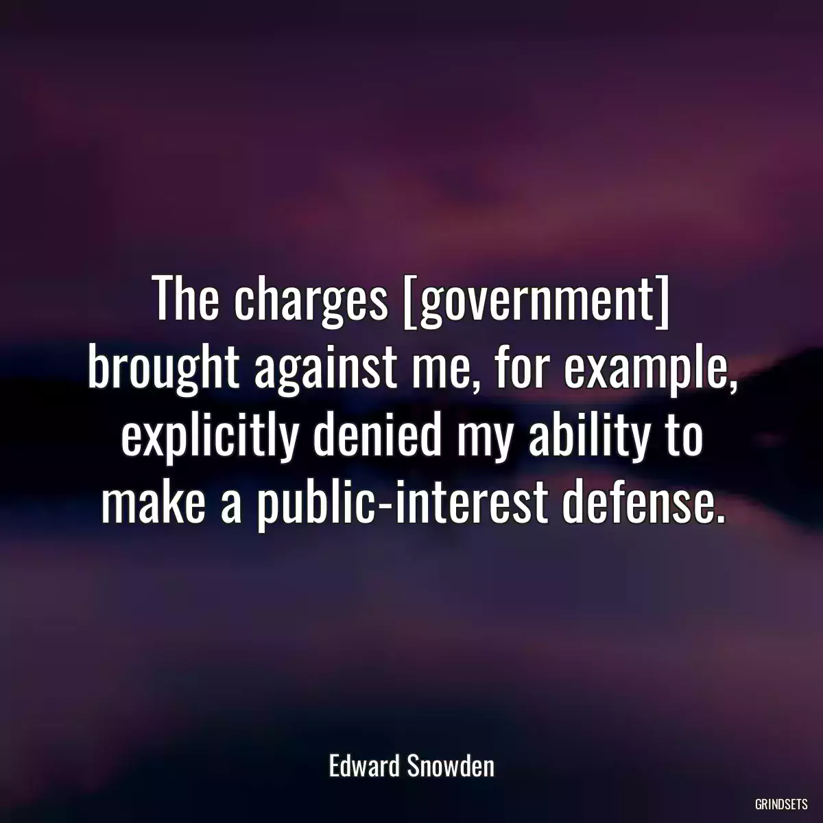 The charges [government] brought against me, for example, explicitly denied my ability to make a public-interest defense.