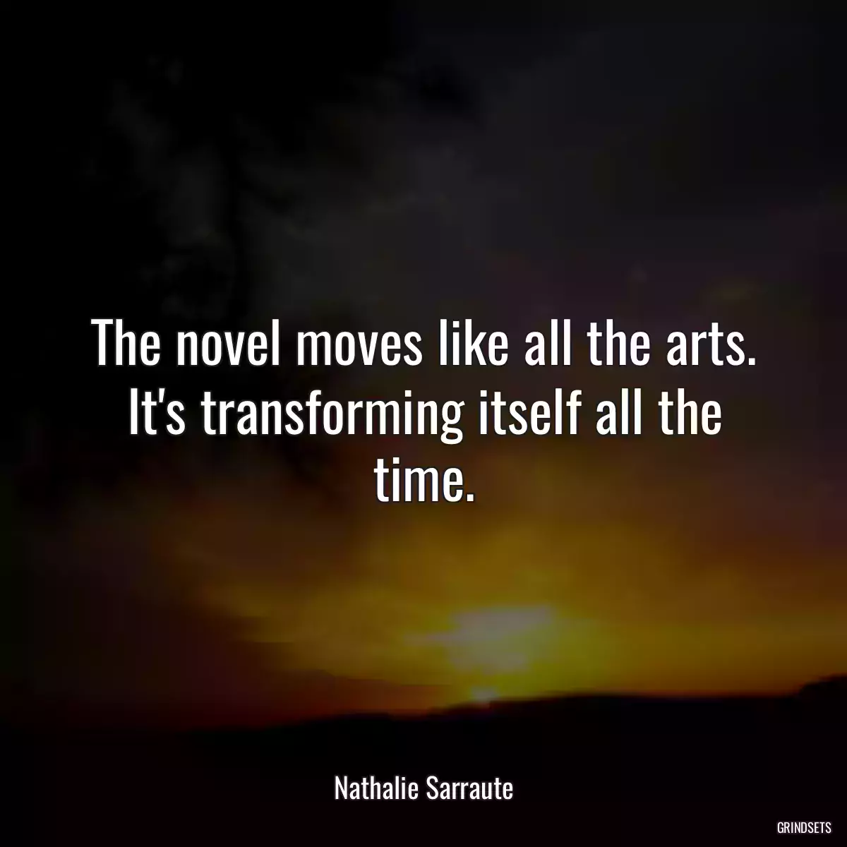 The novel moves like all the arts. It\'s transforming itself all the time.