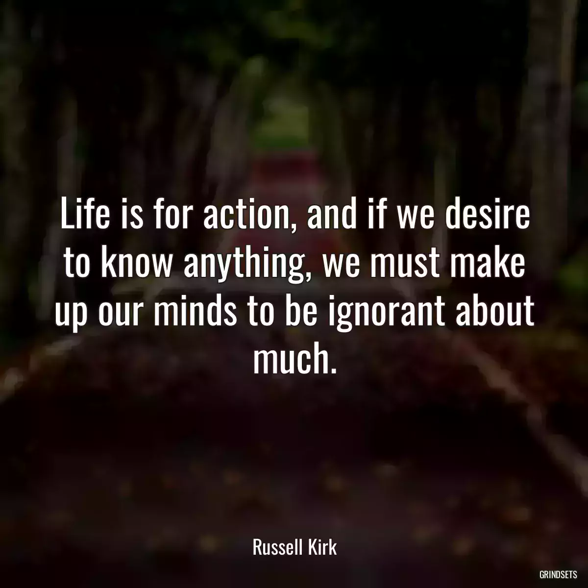 Life is for action, and if we desire to know anything, we must make up our minds to be ignorant about much.