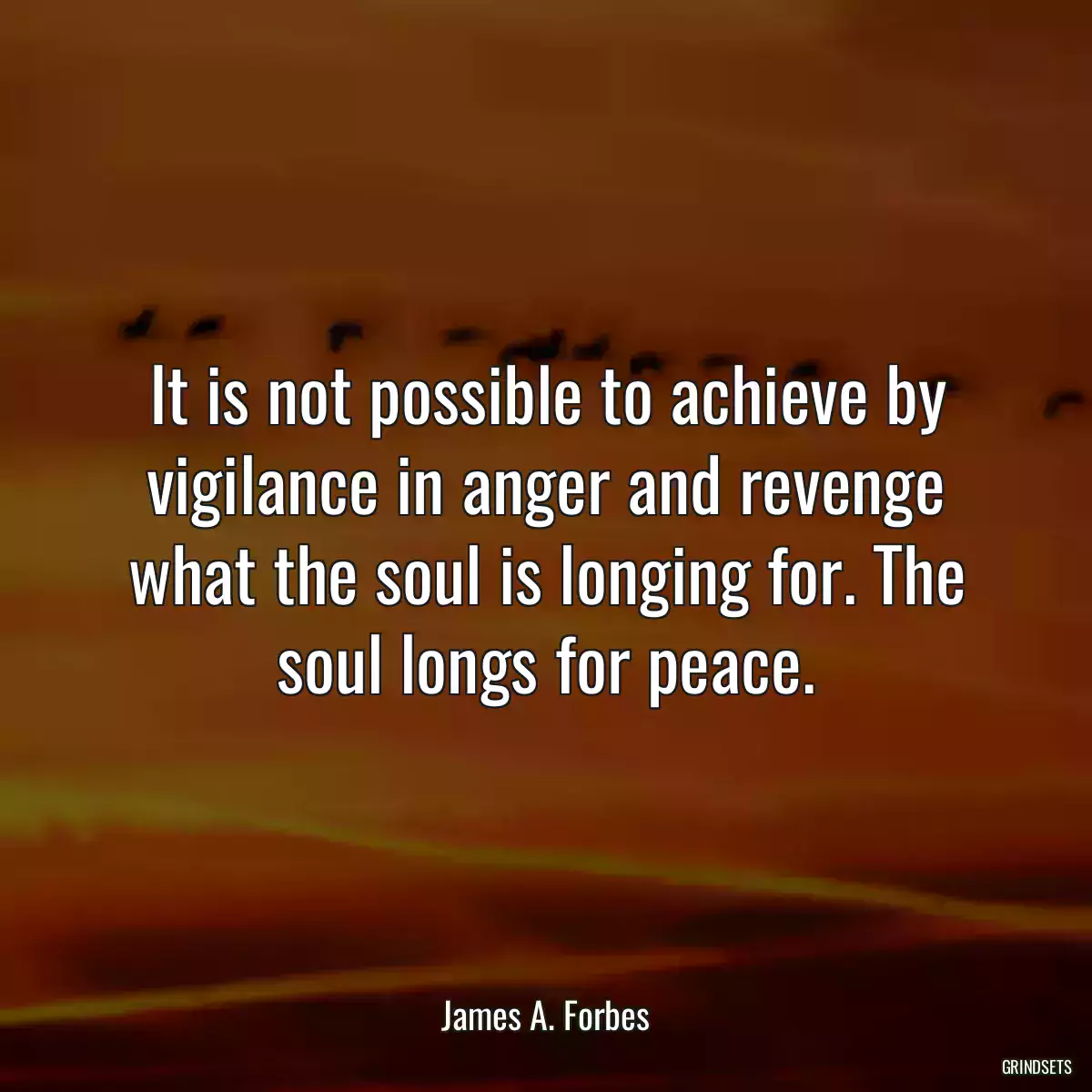 It is not possible to achieve by vigilance in anger and revenge what the soul is longing for. The soul longs for peace.