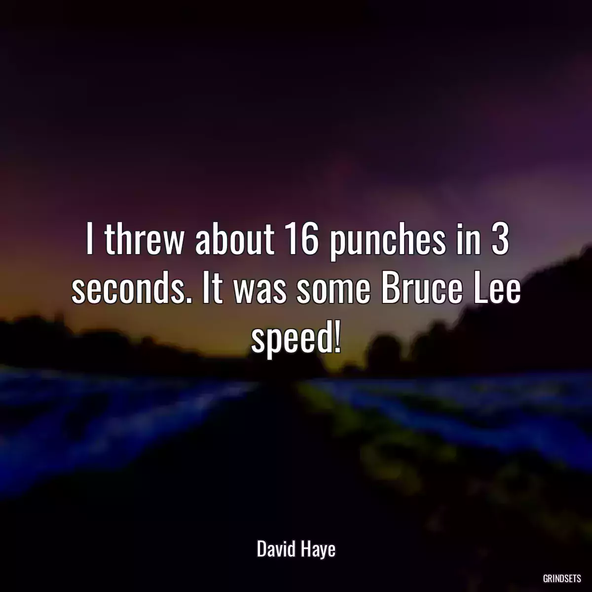 I threw about 16 punches in 3 seconds. It was some Bruce Lee speed!