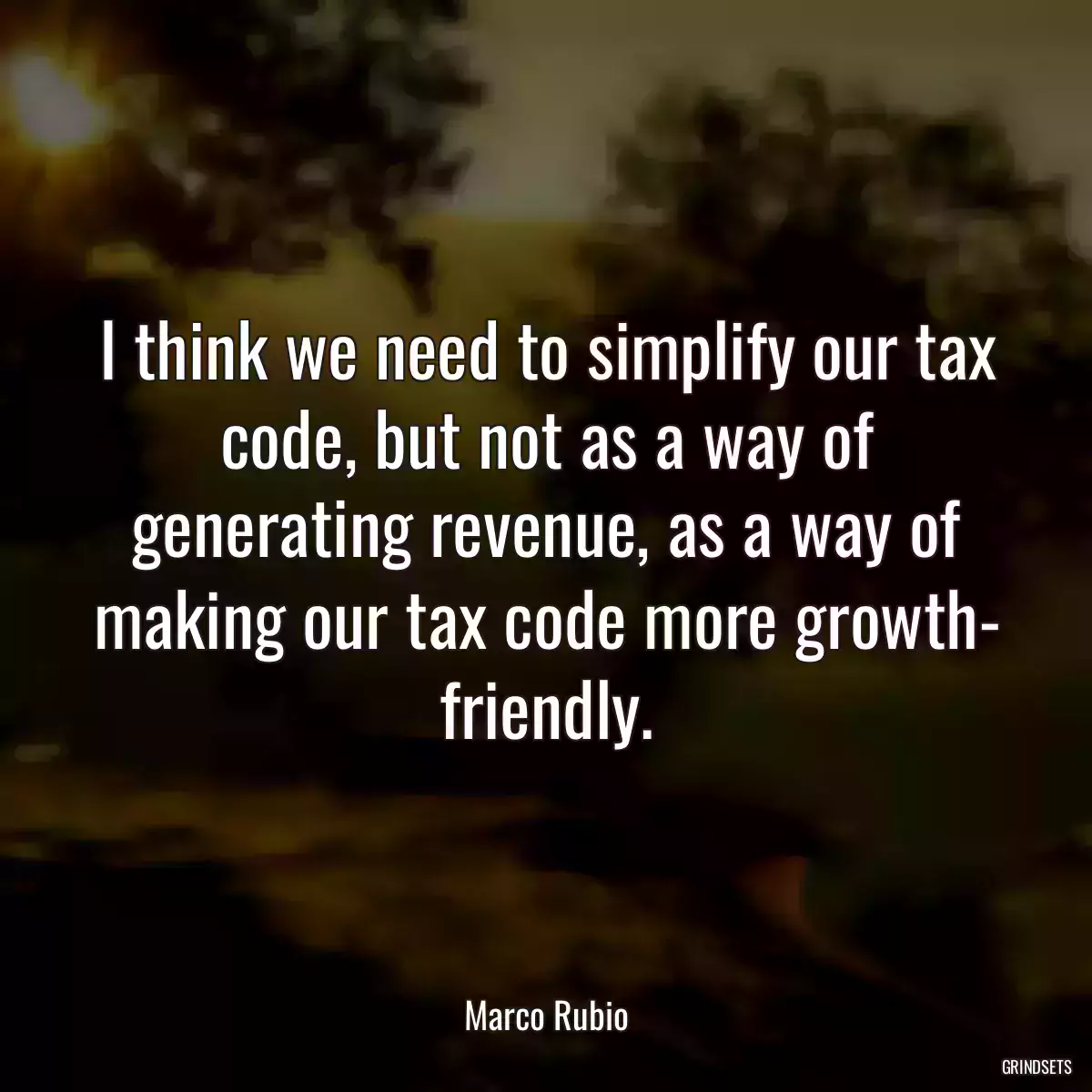 I think we need to simplify our tax code, but not as a way of generating revenue, as a way of making our tax code more growth- friendly.