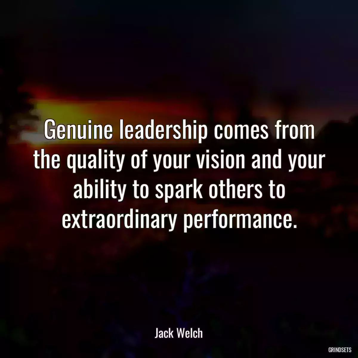 Genuine leadership comes from the quality of your vision and your ability to spark others to extraordinary performance.