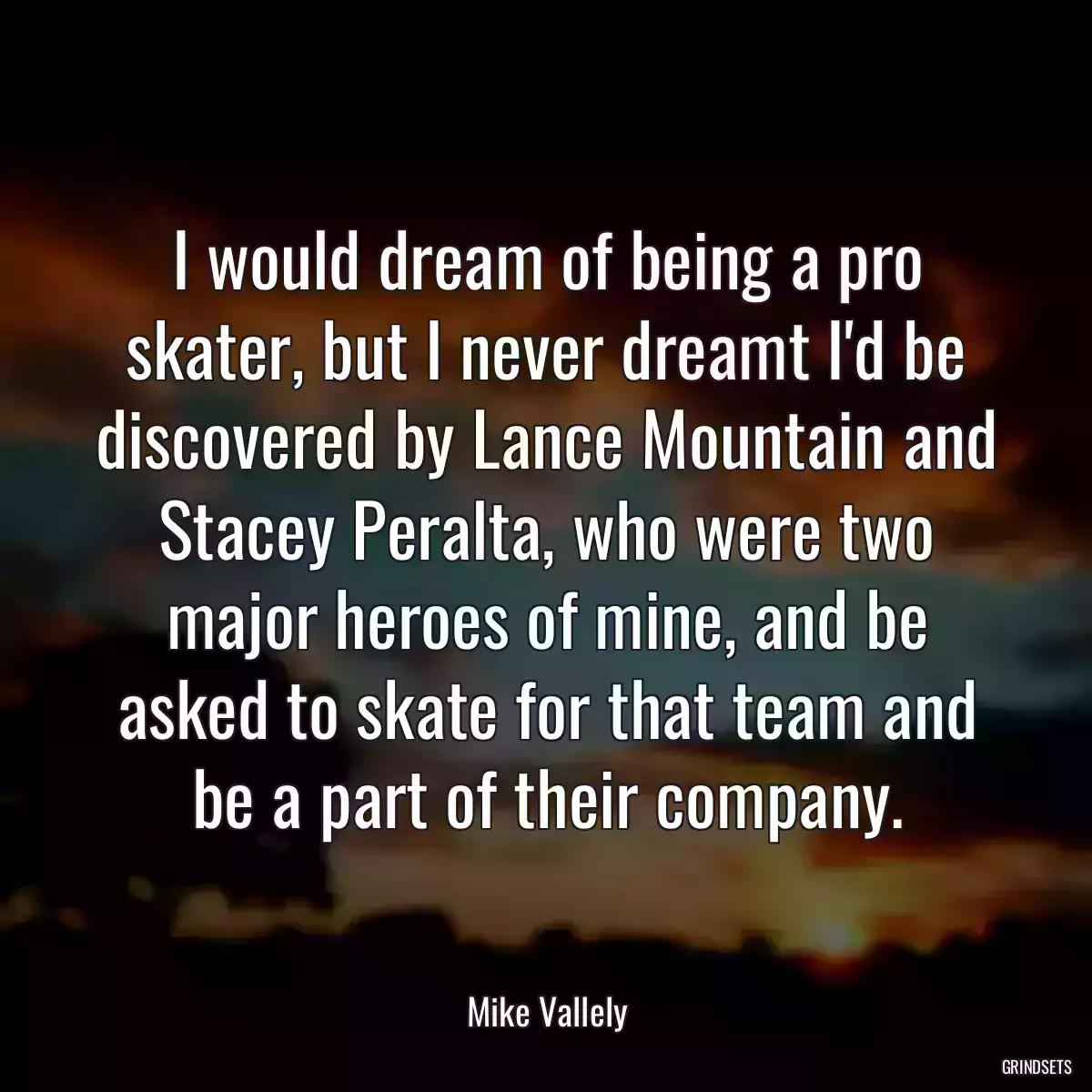 I would dream of being a pro skater, but I never dreamt I\'d be discovered by Lance Mountain and Stacey Peralta, who were two major heroes of mine, and be asked to skate for that team and be a part of their company.