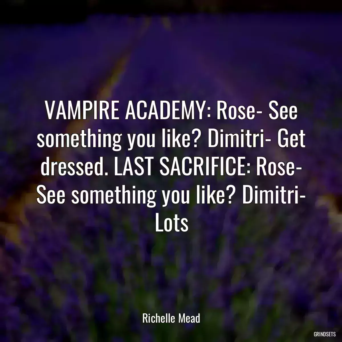 VAMPIRE ACADEMY: Rose- See something you like? Dimitri- Get dressed. LAST SACRIFICE: Rose- See something you like? Dimitri- Lots