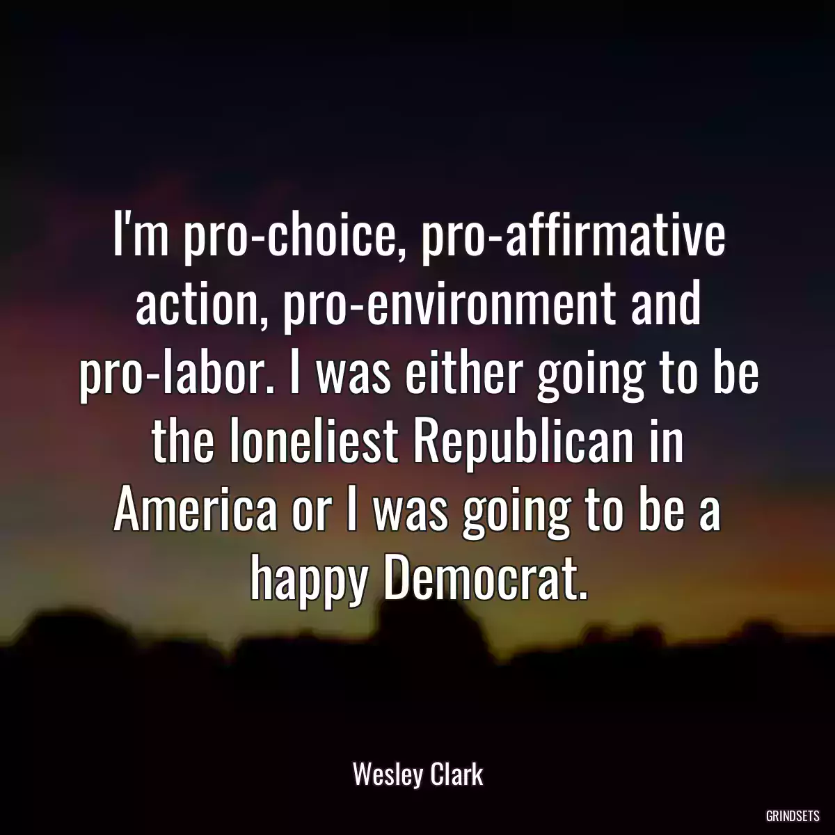 I\'m pro-choice, pro-affirmative action, pro-environment and pro-labor. I was either going to be the loneliest Republican in America or I was going to be a happy Democrat.