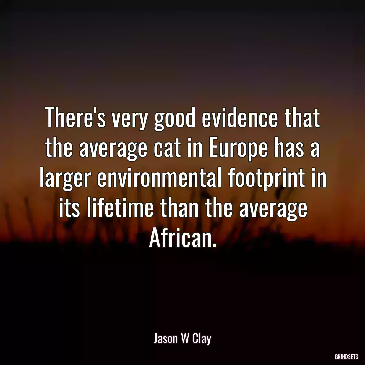 There\'s very good evidence that the average cat in Europe has a larger environmental footprint in its lifetime than the average African.