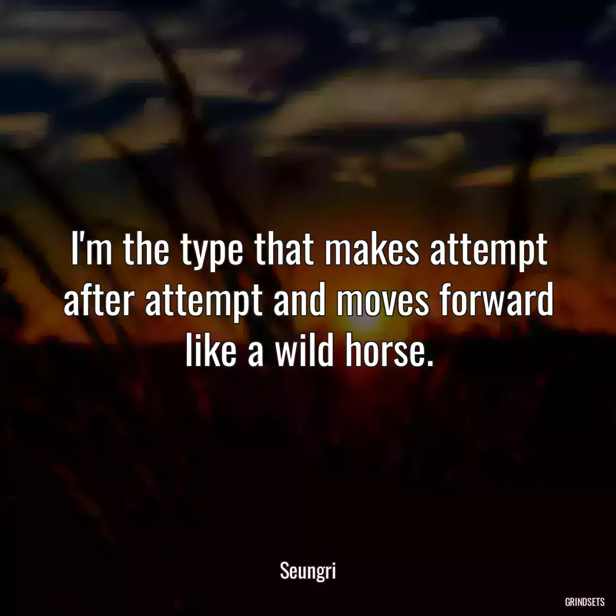 I\'m the type that makes attempt after attempt and moves forward like a wild horse.