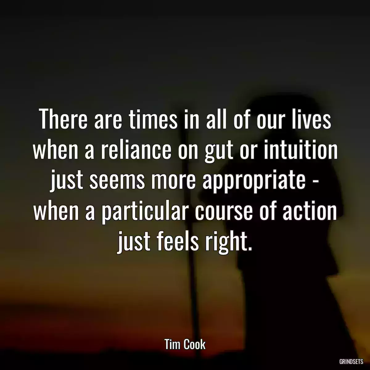 There are times in all of our lives when a reliance on gut or intuition just seems more appropriate - when a particular course of action just feels right.