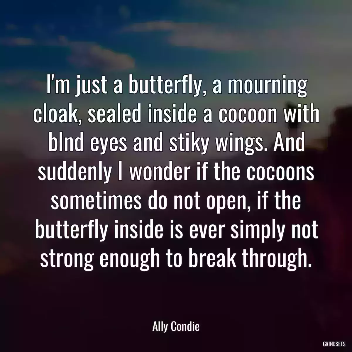 I\'m just a butterfly, a mourning cloak, sealed inside a cocoon with blnd eyes and stiky wings. And suddenly I wonder if the cocoons sometimes do not open, if the butterfly inside is ever simply not strong enough to break through.