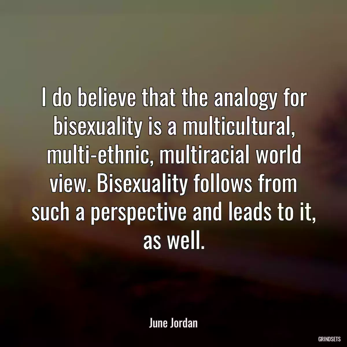 I do believe that the analogy for bisexuality is a multicultural, multi-ethnic, multiracial world view. Bisexuality follows from such a perspective and leads to it, as well.