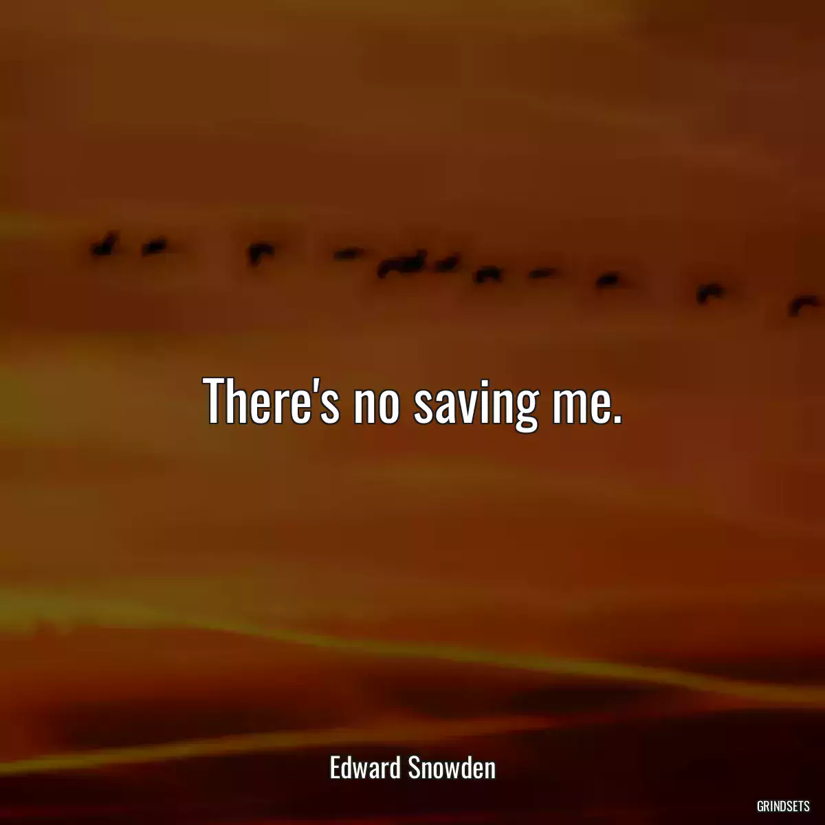 There\'s no saving me.