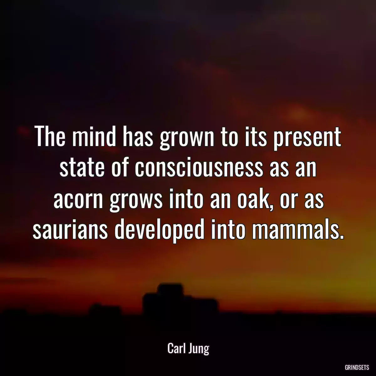 The mind has grown to its present state of consciousness as an acorn grows into an oak, or as saurians developed into mammals.