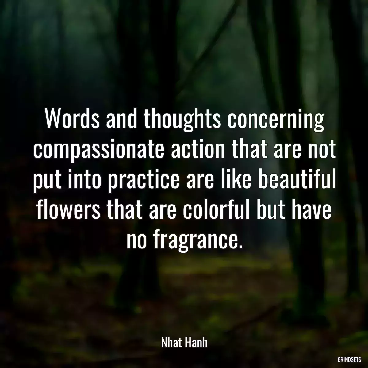 Words and thoughts concerning compassionate action that are not put into practice are like beautiful flowers that are colorful but have no fragrance.